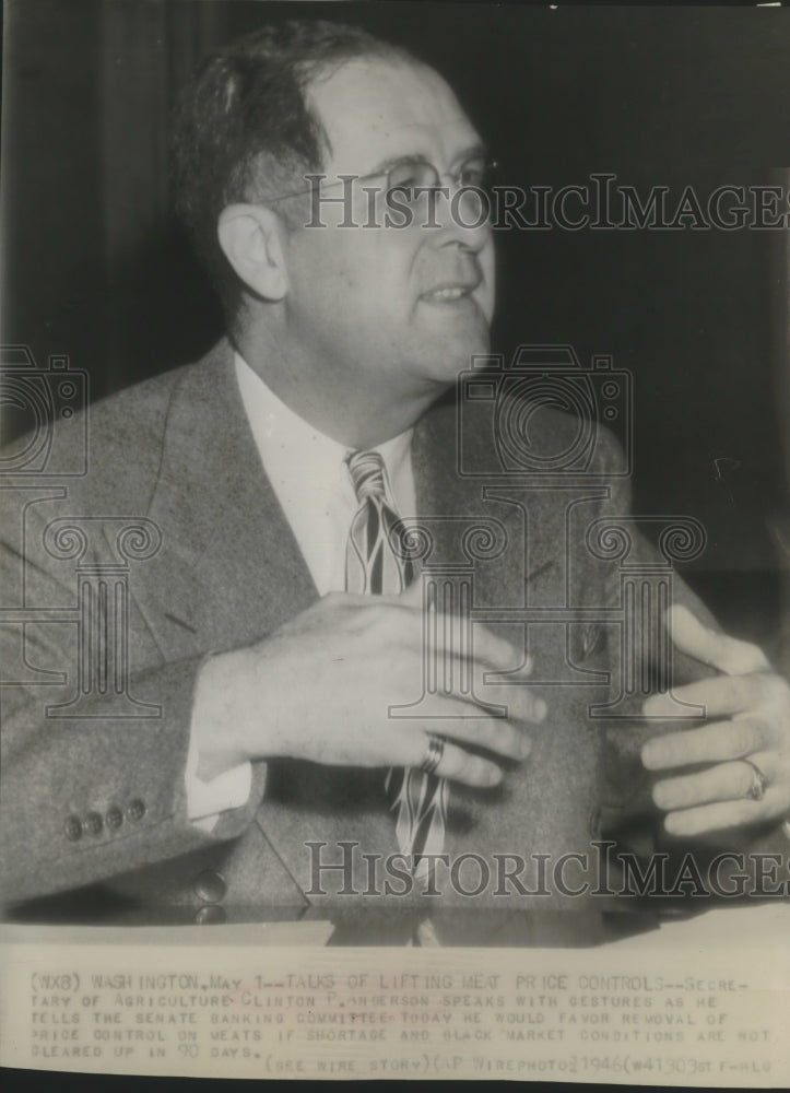 1946 Press Photo Agriculture Secretary Clinton Anderson testifies before Senate-Historic Images