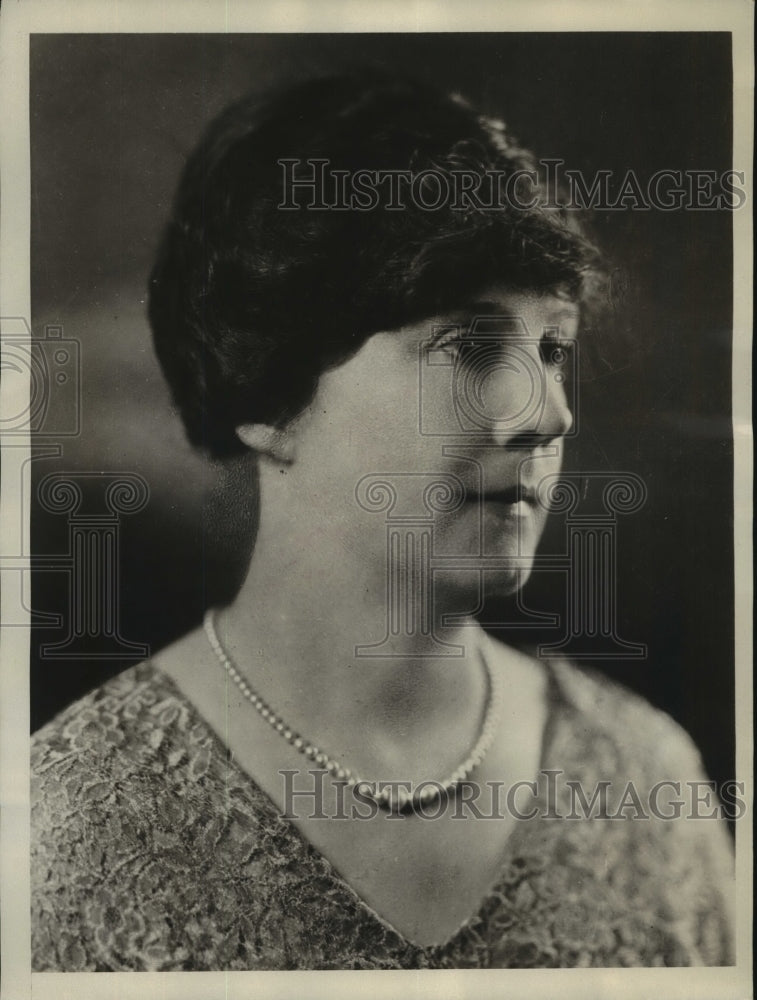 1930 Press Photo Mrs LE Fisher chairman 1930 United Daughters of Confederacy-Historic Images