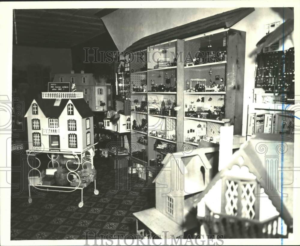 1980 Press Photo Items in the "Childhood Dreams" store in Staten Island - Historic Images