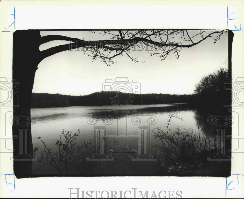 1991 Lake Orbach at Pouch Camp, Staten Island, New York - Historic Images