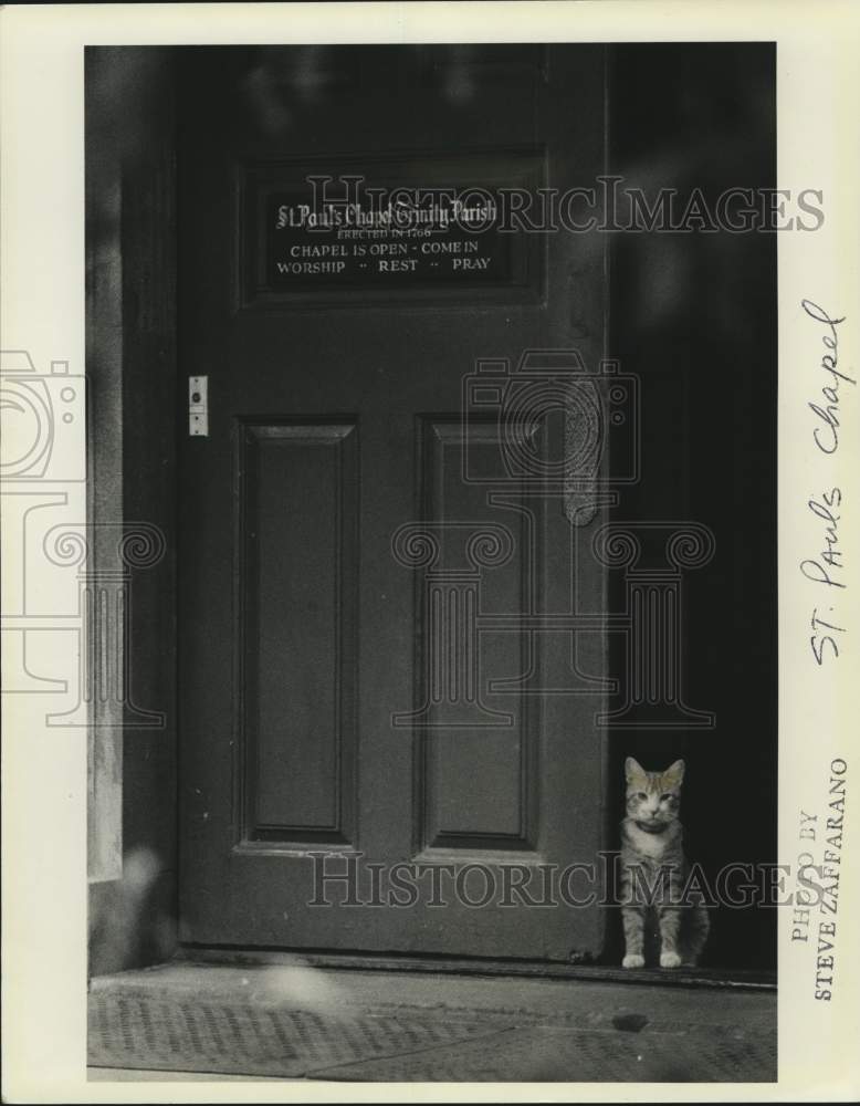 1985 Press Photo A cat at St. Paul&#39;s Chapel doorway, New York - Historic Images