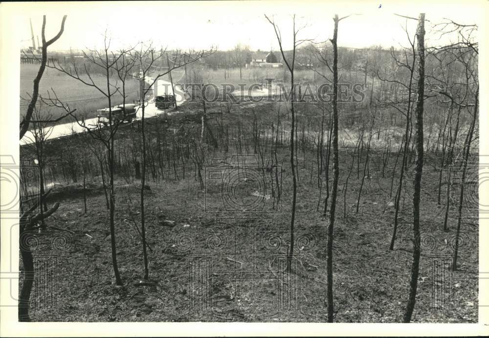 1979 Press Photo Richmond Valley brush fire damage along Richmond Valley Road - Historic Images