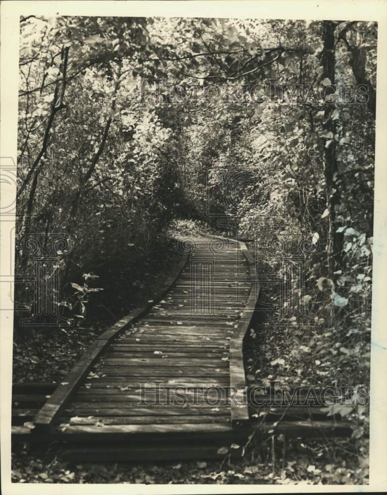 Press Photo Abraham&#39;s Pond Trail at Clay Pit Ponds State Park, Staten Island - Historic Images