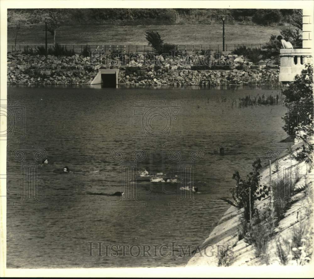 1982 Press Photo Swimmers swimming in Silver Lake Reservoir - sia08696 - Historic Images
