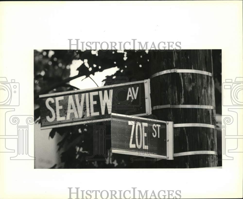 1990 Press Photo Seaview Avenue &amp; Zoe Street, street signs - Historic Images