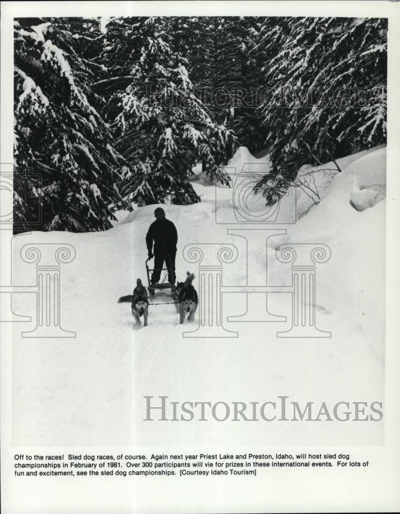 1981 Press Photo Sled dog racing in Preston, Idaho - sia09579 - Historic Images