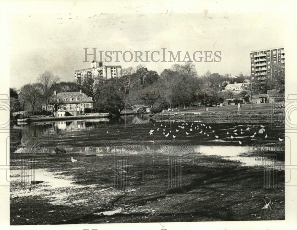 1976 Clove Lake Number 1 drained of water for winter-Historic Images