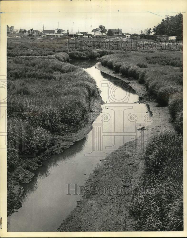 1967 View of the Lemon Creek area-Historic Images