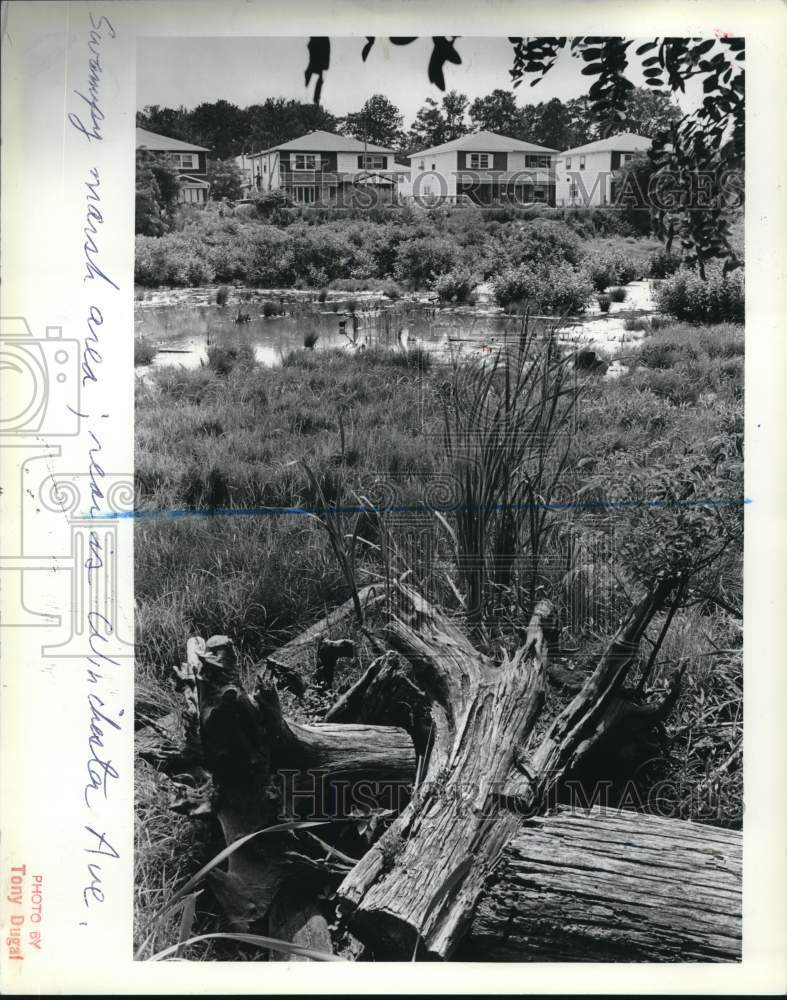 1986 Press Photo Environmentalists and developers at odds over wetlands use- Historic Images