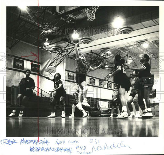 Press Photo College of Staten Island basketball plays College of New Rochelle - Historic Images