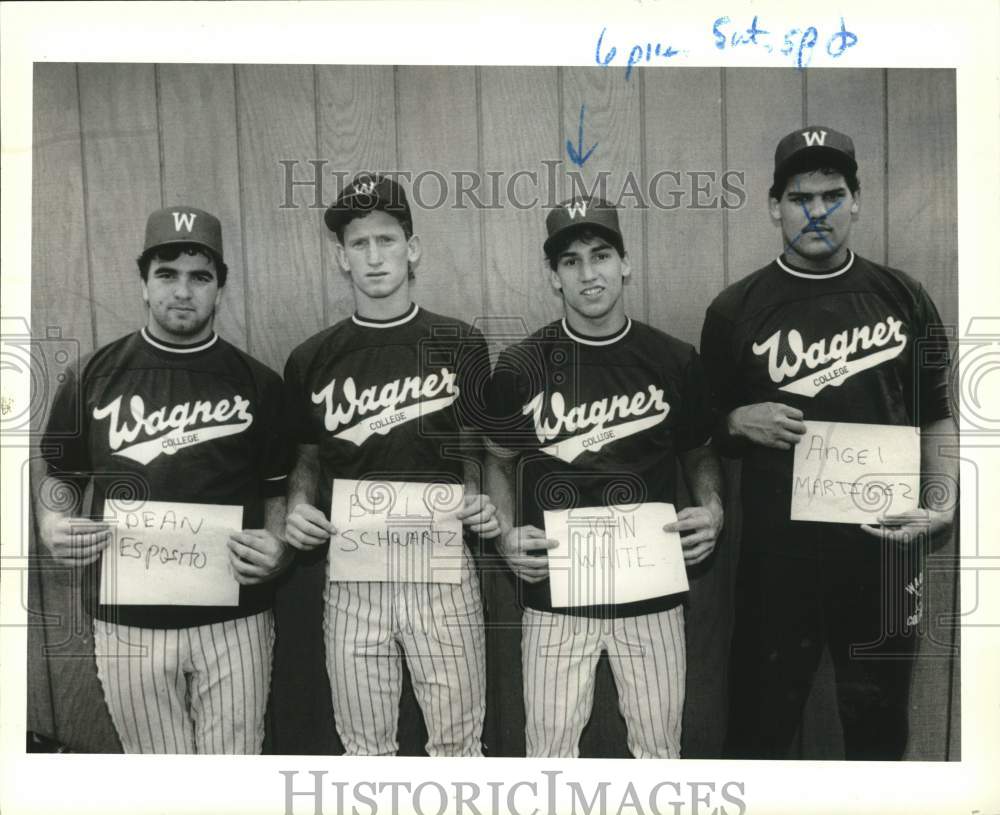 1989 Press Photo Wagner College Baseball Players - sia26442 - Historic Images
