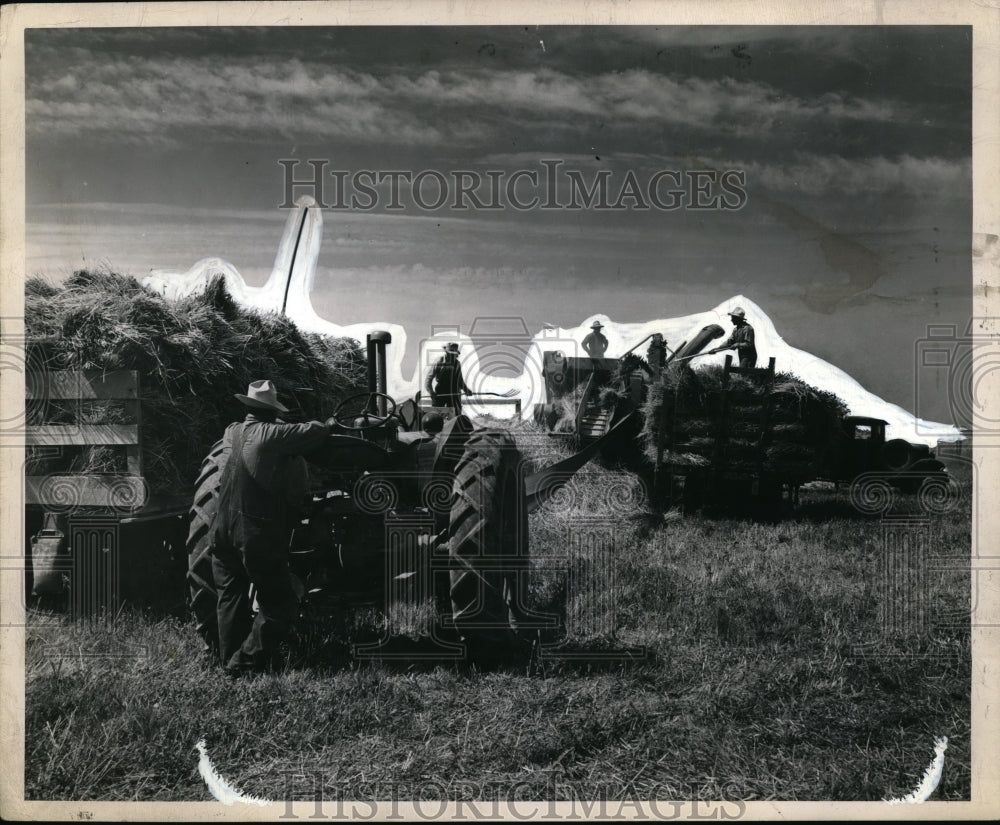 Press Photo Threshing wheat on irrigated farm of Will Chapman - Historic Images
