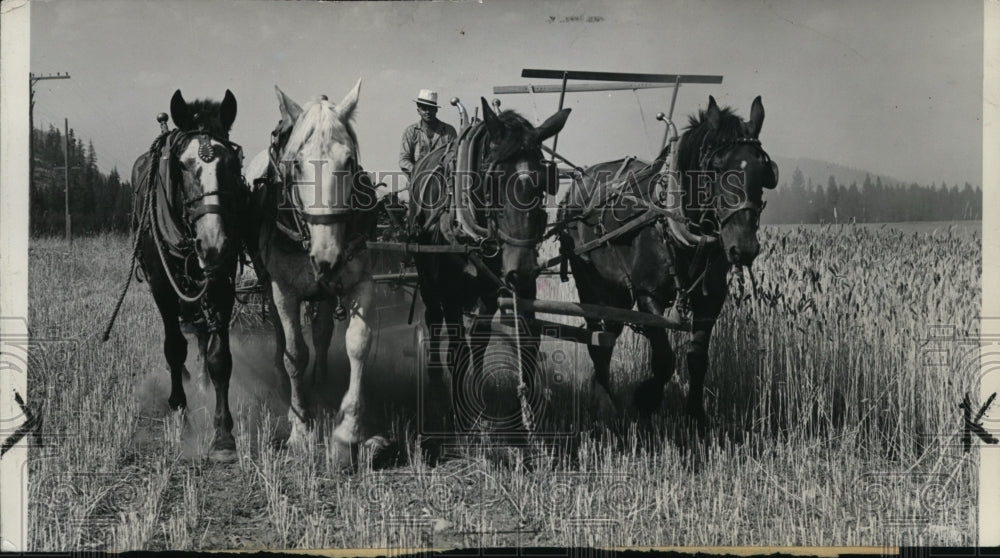 1938 Press Photo Farm scenes - spa00059-Historic Images