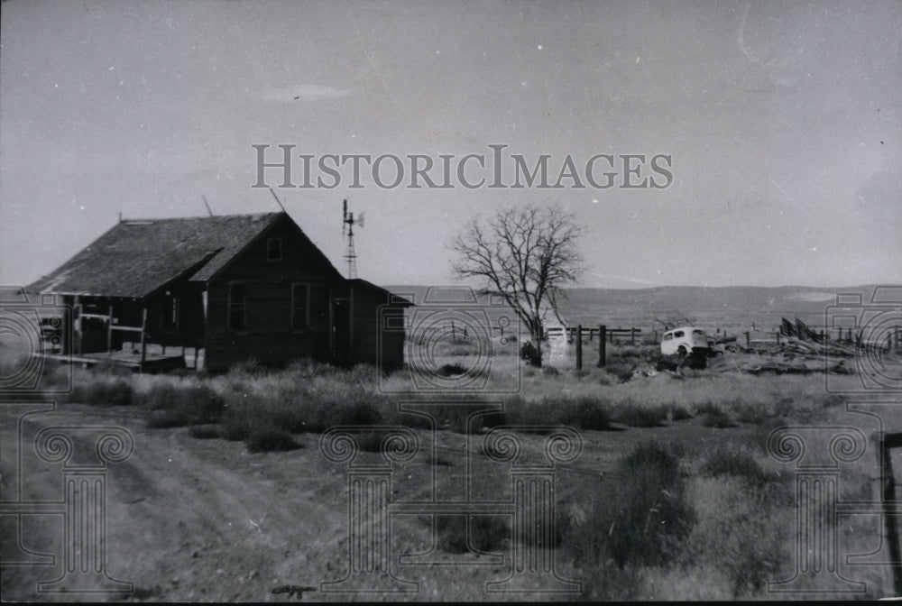 1980 Press Photo Agri farm scenes - Historic Images