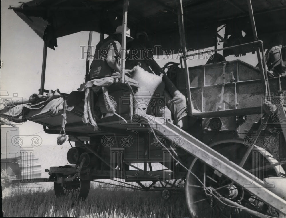 Press Photo Harvest Scenes Spokane - Historic Images