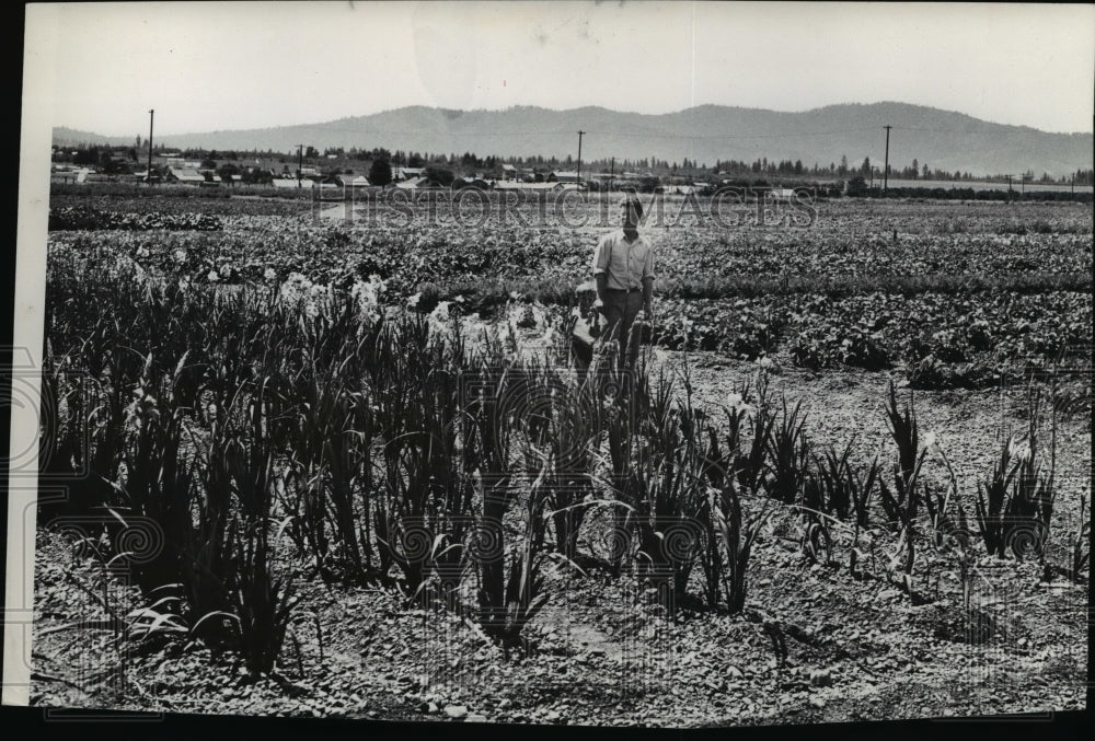 1935 Press Photo Farm Scenes - spa03103-Historic Images