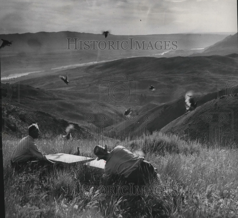 1948 Pheasant  - Historic Images
