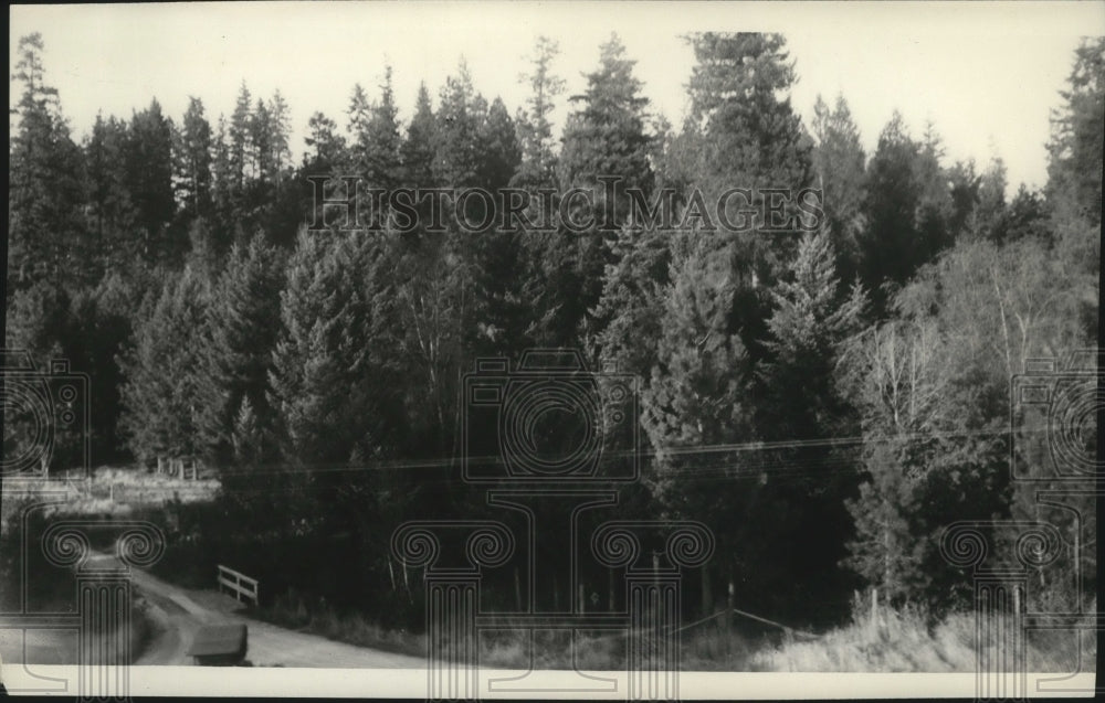 1927 Bigelow Gulch Spokane County  - Historic Images