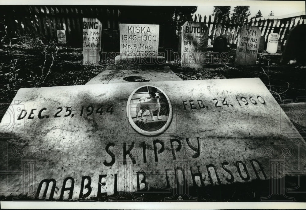 1983 A tombstone at a pet cemetery-Historic Images