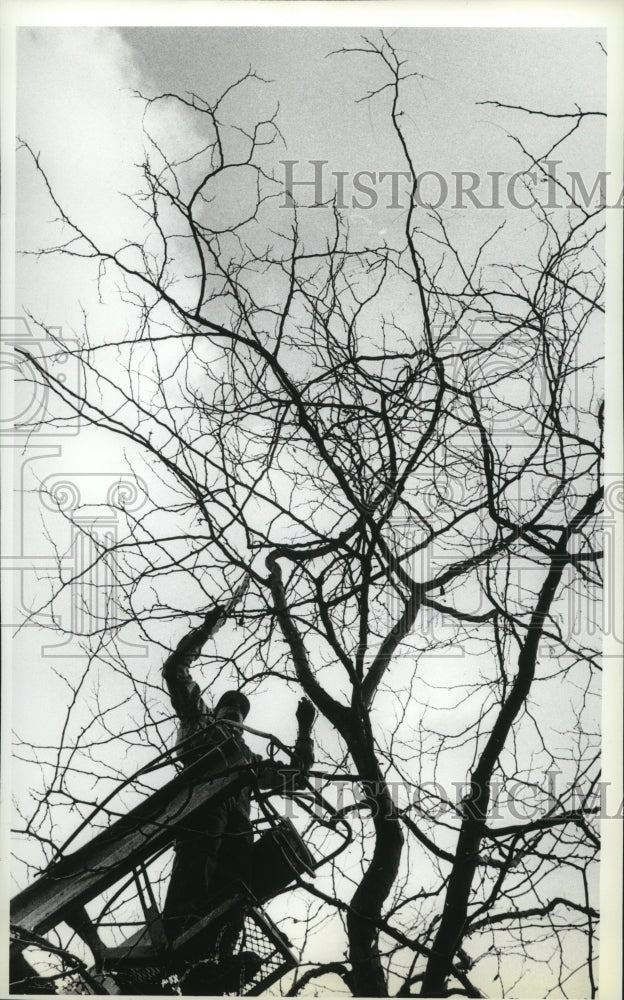 1991 Press Photo Ron LaRue strings up Christmas lights in downtown Spokane - Historic Images