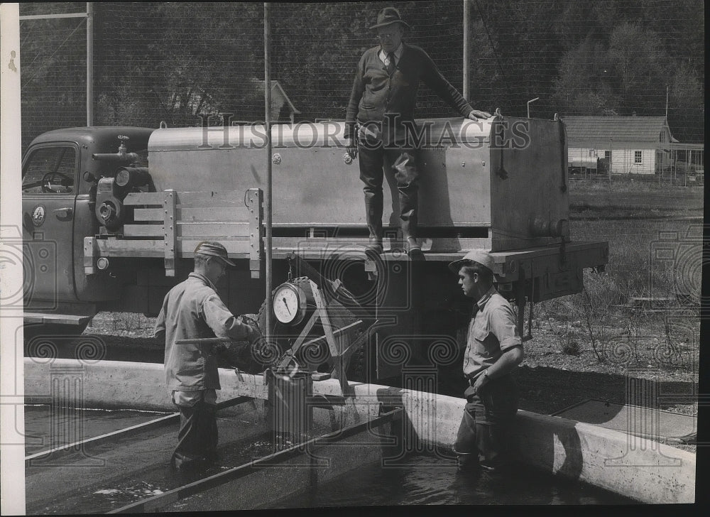 1953 Fish Hatchery  - Historic Images