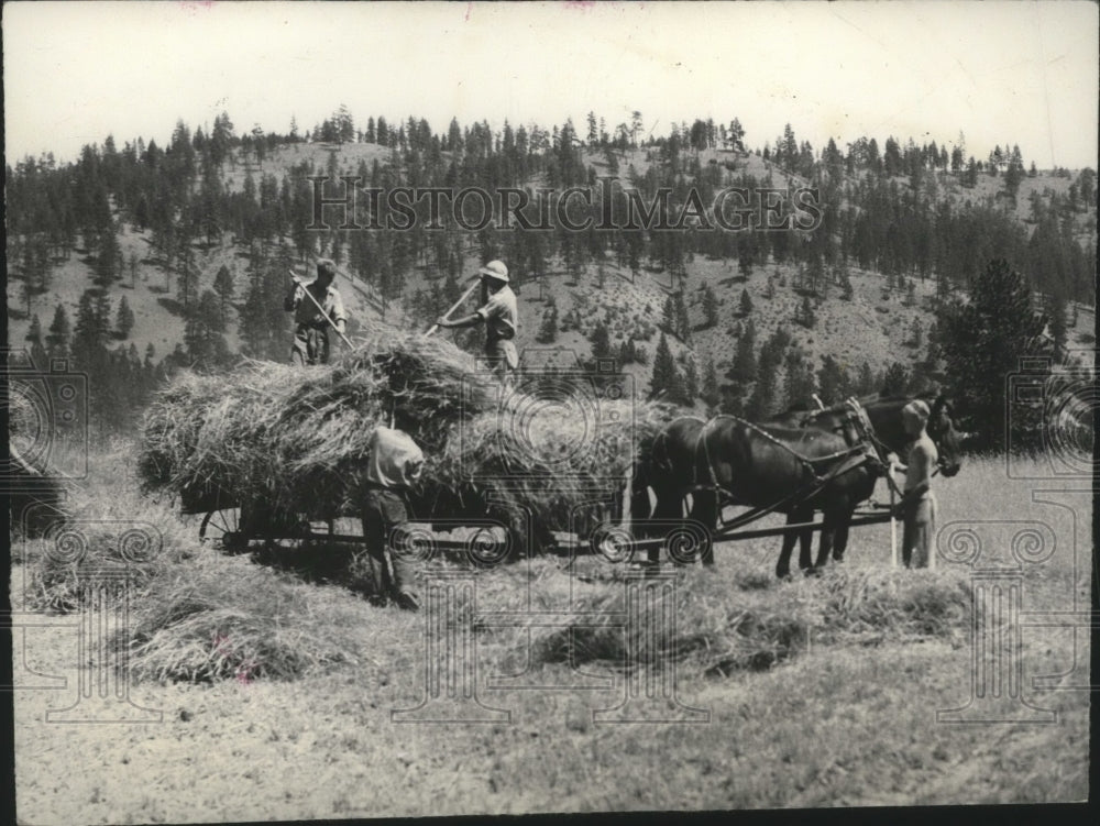 1935 Press Photo Harvesting scene - Historic Images