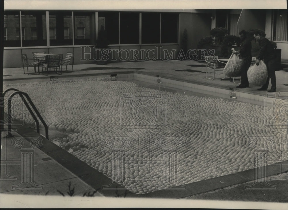 1976 Press Photo A pool full of balls designed to conserve energy during winter - Historic Images