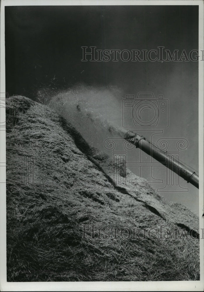 1937 Press Photo Harvest scene - spa51357-Historic Images