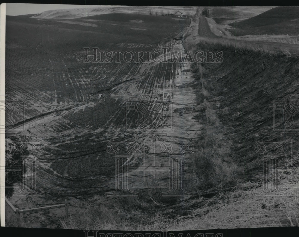 Press Photo View of soil erosion - spa56859 - Historic Images