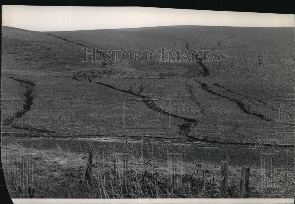 Press Photo Soil erosion of Farm field - spa56886 - Historic Images