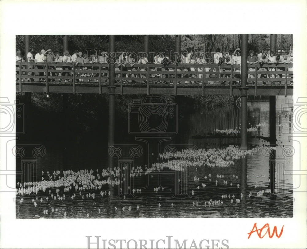 1990 Press Photo Greater Spokane Duck Race on the Spokane River - spa57616 - Historic Images