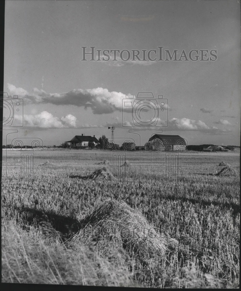 1984 Press Photo Farm scene-Farmhouse and barn in the distance of mown hay - Historic Images