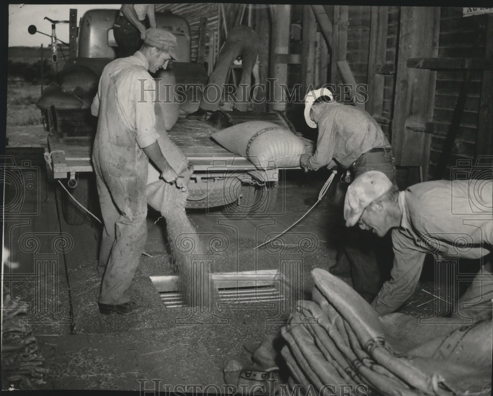Press Photo Three Men Dumping Grain While in the Grain Elevator - spa59957 - Historic Images