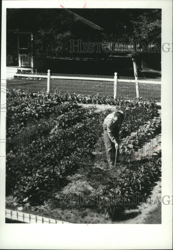 1974 Press Photo A farmer plows his vegetable farm - spa62846-Historic Images