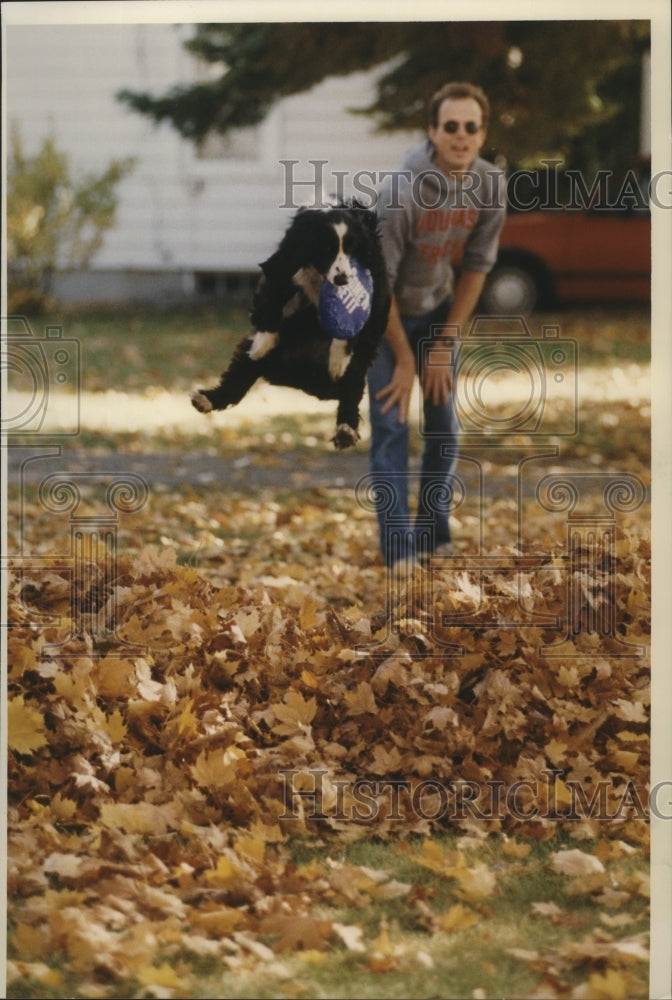 1993 Press Photo David Foster throws a Frisbee for his dog Sadie to catch - Historic Images