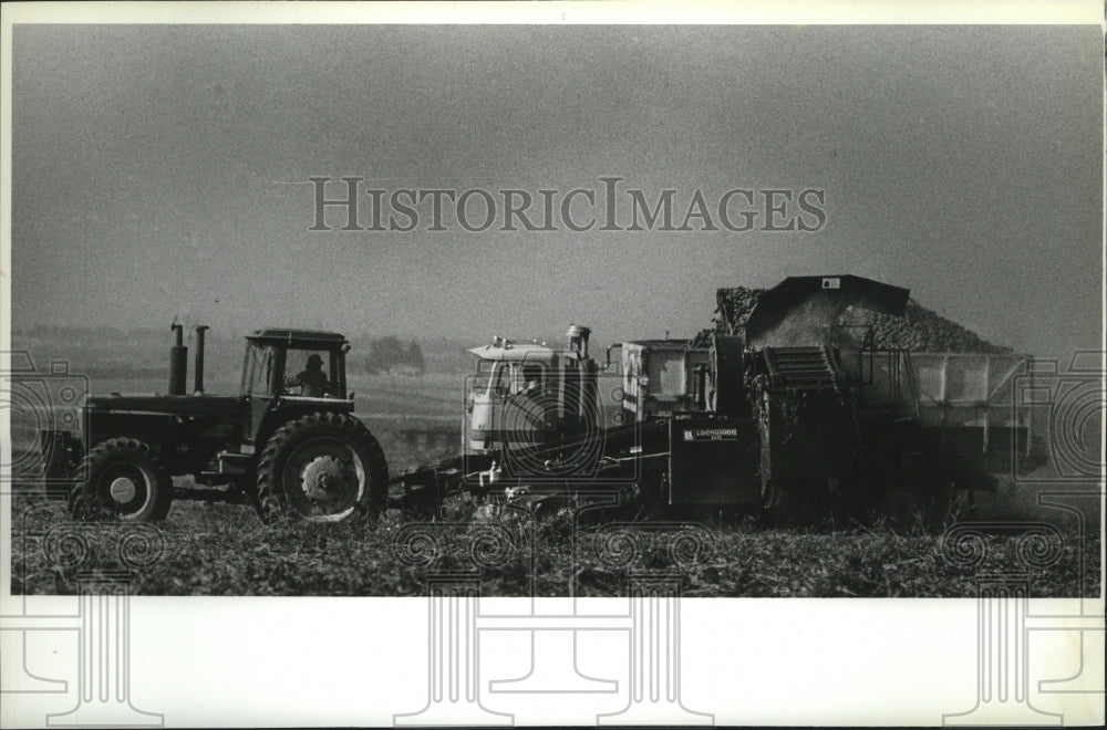 1991 Potato harvesting outside Warden, Washington Historic Images