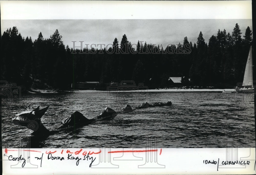 1984 Press Photo Fake monster in Coeur d'Alene Lake, Idaho - spa68989 - Historic Images