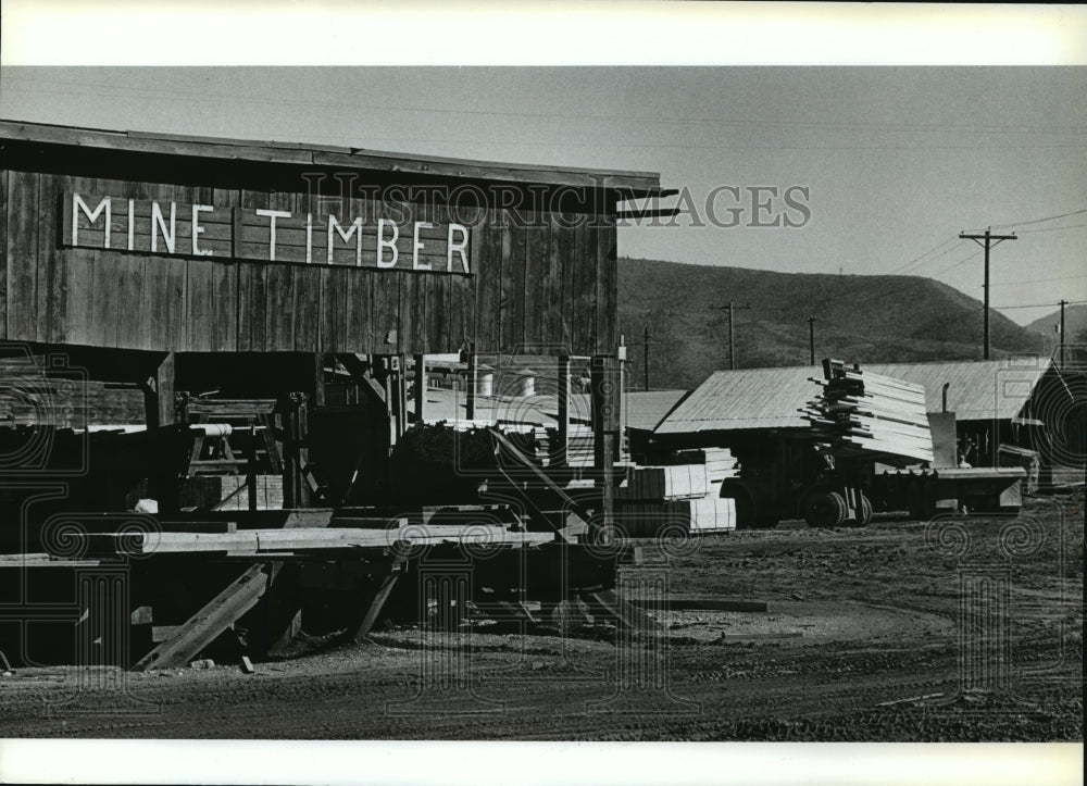 1991 Press Photo Mine Timber Inc of Smelterville, Idaho affected by re