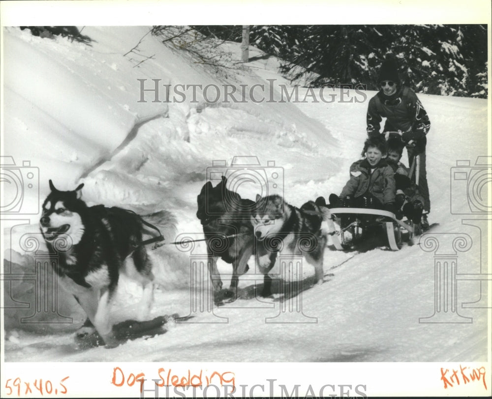 1990 Press Photo Garfield second graders got a taste of real dog sledding - Historic Images
