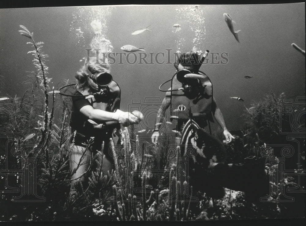 1980 Press Photo Divers examine tropical fish and soft coral found in Curacao - Historic Images
