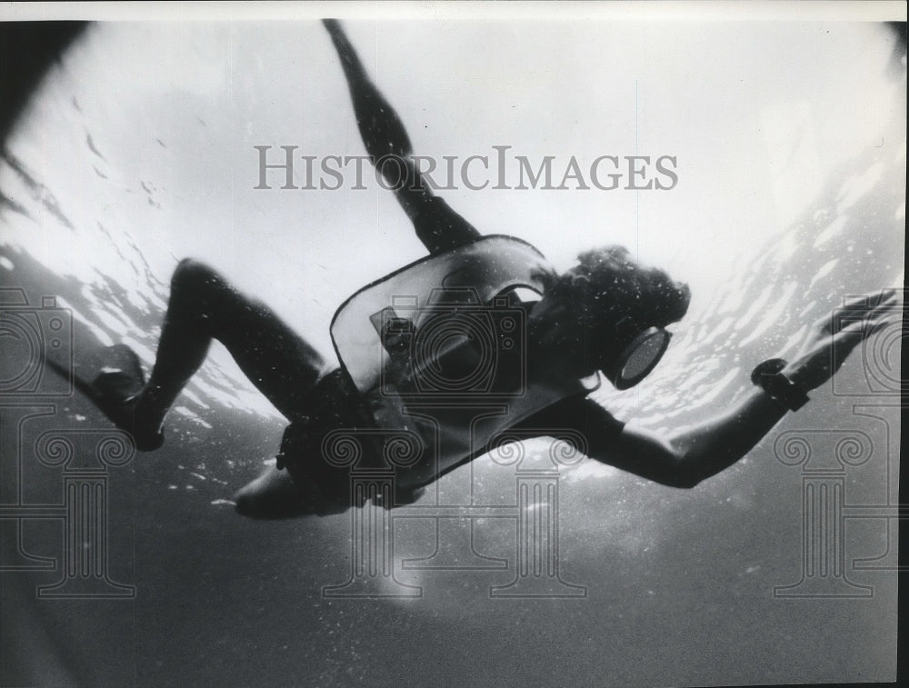 1982 Press Photo Diving - spa73573 - Historic Images