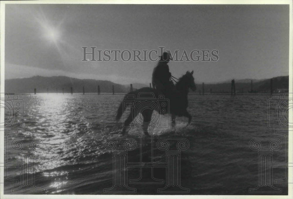 1990 Press Photo Earl Hollingsworth & his stallion Dillon at Lake Couer d'Alene - Historic Images