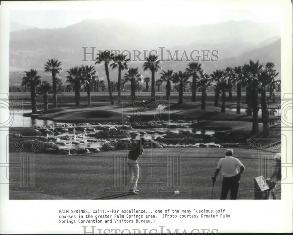1991 Press Photo One of the many luscious golf courses in the Palm Springs area. - Historic Images