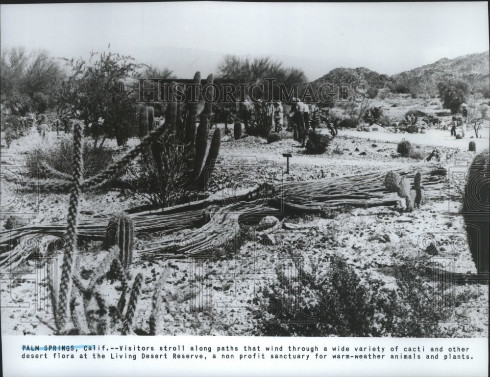 1983 Press Photo The Living Desert Reserve is a non profit Sanctuary in Calif. - Historic Images