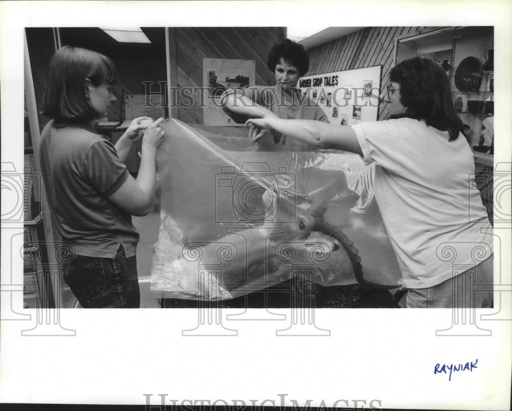 1989 Press Photo Museum of North Idaho staff wrapping a head of stuffed animal - Historic Images