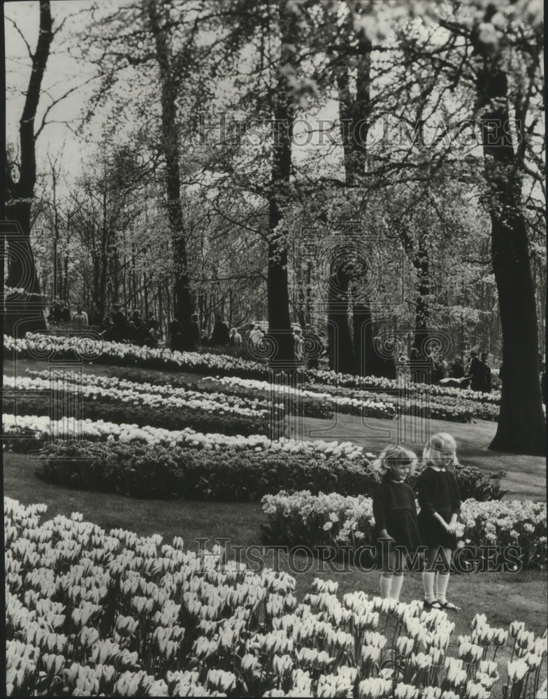 1984 Press Photo Netherlands-Keukenkof Gardens in Amsterdam - spa78833 - Historic Images