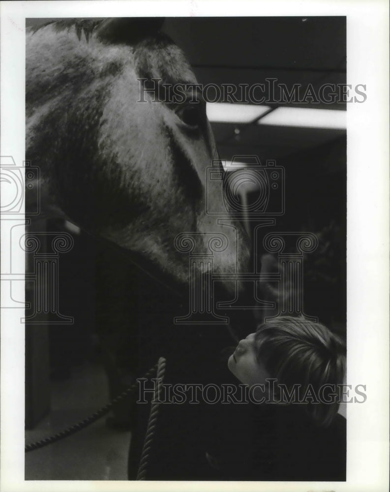 1991 Press Photo Museum-Joshua Becket examines mouth of fake horse at MONAC - Historic Images