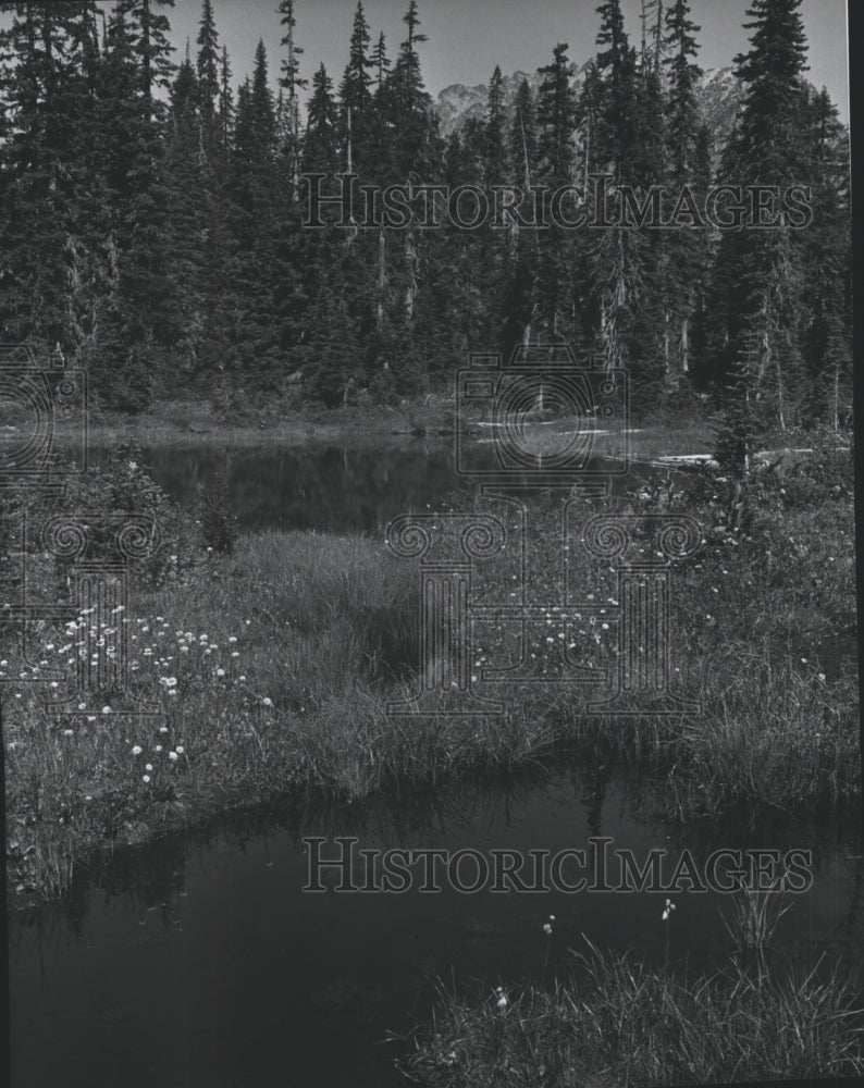 1972 Press Photo Pond at Rainy Pass - spa80046 - Historic Images