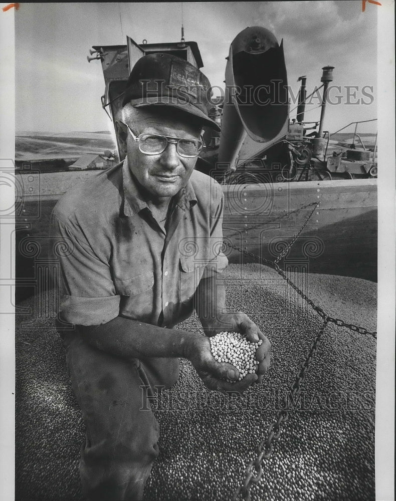 1980 Press Photo Allen Kernhamp with dry peas - Historic Images