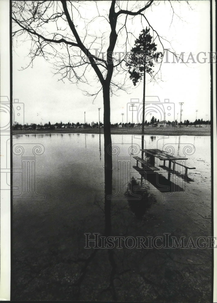 1984 Picnic table and tree in high water, Franklin Park-Historic Images